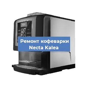 Замена | Ремонт термоблока на кофемашине Necta Kalea в Воронеже